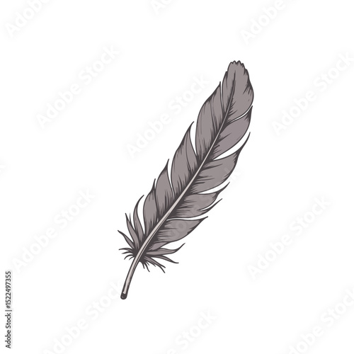 Single grey feather with soft texture and delicate details.  Elegant feather design perfect for adding a touch of nature to your projects.