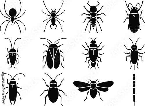 Vector illustration of various insects spiders beetles and pests ideal for pest control design editable stock vector illustration