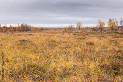 Autumn colors in northern Finland