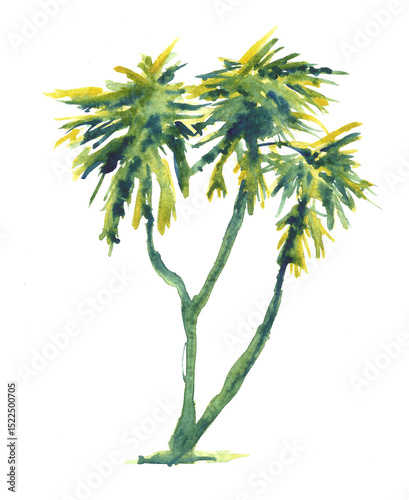 palm tree vector illustration
