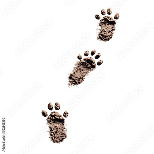 PNG Muddy Paw Prints A CloseUp of Animal Tracks on Dark Background against transparent Background