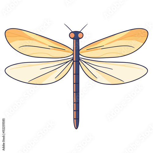 dragonfly, insect, animal, vector, transparent background, creature, anisoptera, nature, wings, isolated, natural