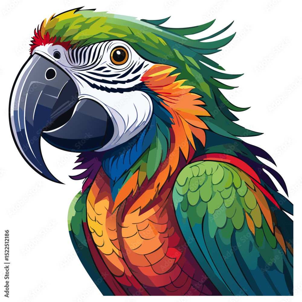 Obraz premium Macaw parrot vector illustration. Exotic tropical bird on isolated background. 