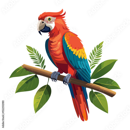 Macaw parrot sitting on a branch vector illustration. Exotic colored bird on isolated background	