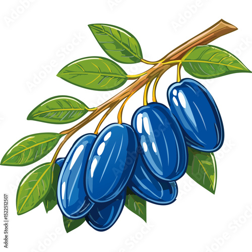 Honeysuckle on a branch vector color illustration. Summer berry with leaves on an isolated background for packaging and design.
