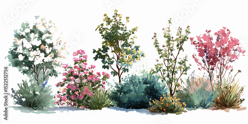 Colorful Assortment of Wildflowers in Full Bloom. Colorful Flowering Plant Arrangement
