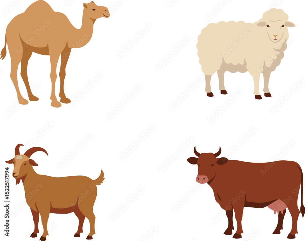 Collection of four farm animals including camel sheep goat and cow in flat vector illustration Collection of four farm animals including camel sheep goat and cow in flat vector illustration