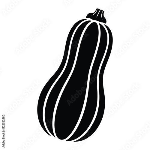 Delicata Squash Silhouette, Vector, Illustration, Icon, Logo, White Background.