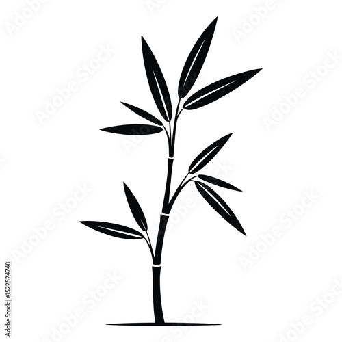 Bamboo Sprout Silhouette, Vector, Illustration, Icon, Logo, White Background.