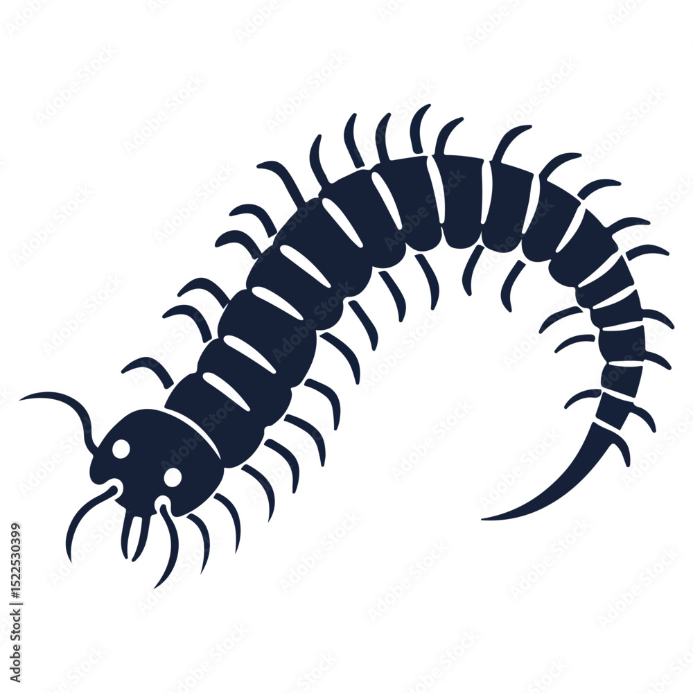 Obraz premium centipede, insect, animal, vector, transparent background, creature, chilopoda, nature, isolated, small, millipede