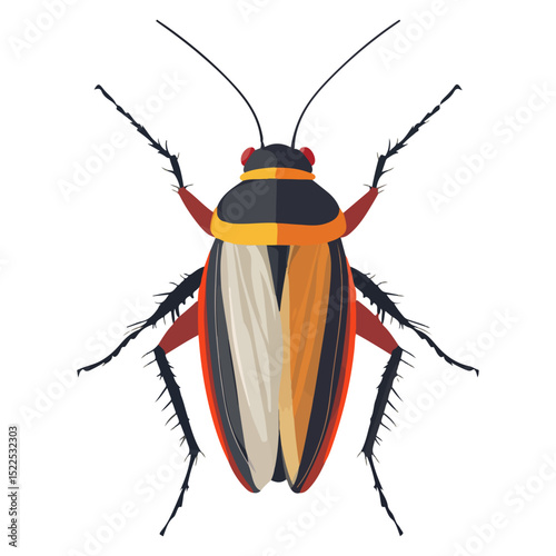 cockroach, insect, animal, vector, transparent background, creature, isolated, roach, nature
