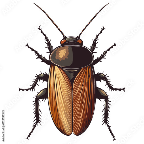 cockroach, insect, animal, vector, transparent background, creature, isolated, roach, nature