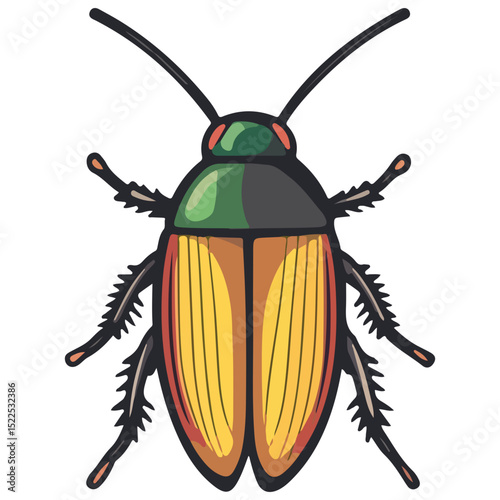 cockroach, insect, animal, vector, transparent background, creature, isolated, roach, nature