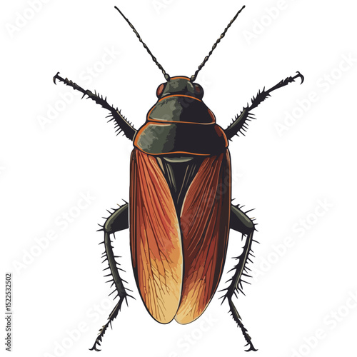 cockroach, insect, animal, vector, transparent background, creature, isolated, roach, nature