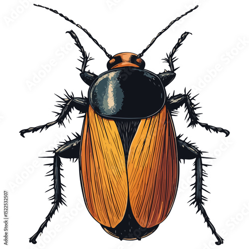 cockroach, insect, animal, vector, transparent background, creature, isolated, roach, nature