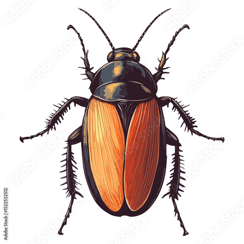 cockroach, insect, animal, vector, transparent background, creature, isolated, roach, nature