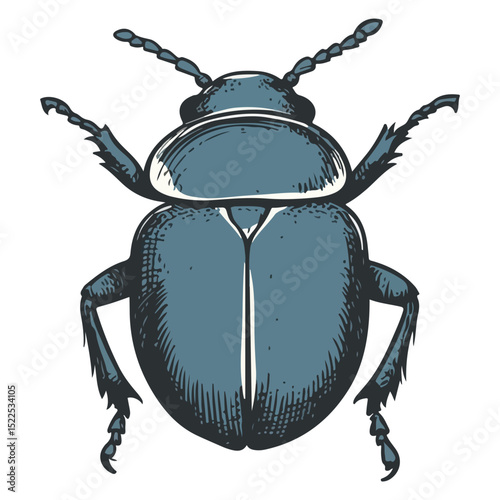dung beetle, insect, animal, vector, transparent background, creature, isolated, nature, small, icon