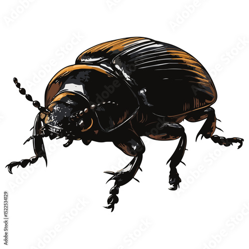 dung beetle, insect, animal, vector, transparent background, creature, isolated, nature, small, icon