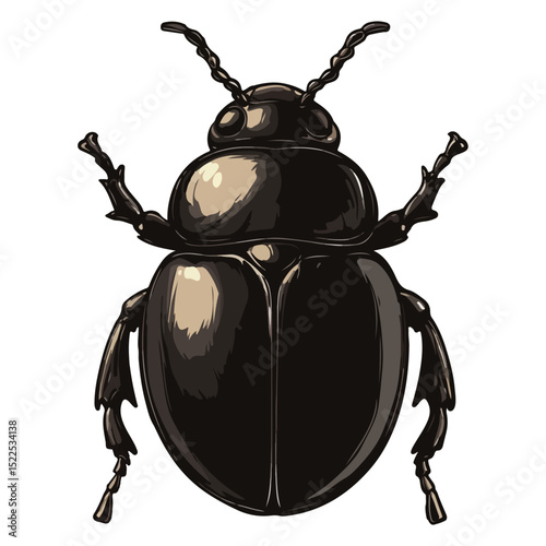 dung beetle, insect, animal, vector, transparent background, creature, isolated, nature, small, icon