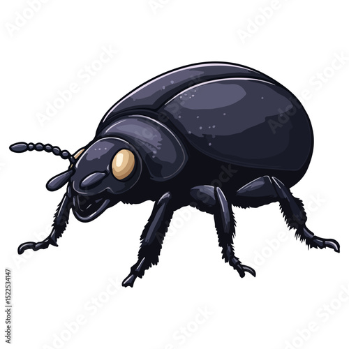 dung beetle, insect, animal, vector, transparent background, creature, isolated, nature, small, icon