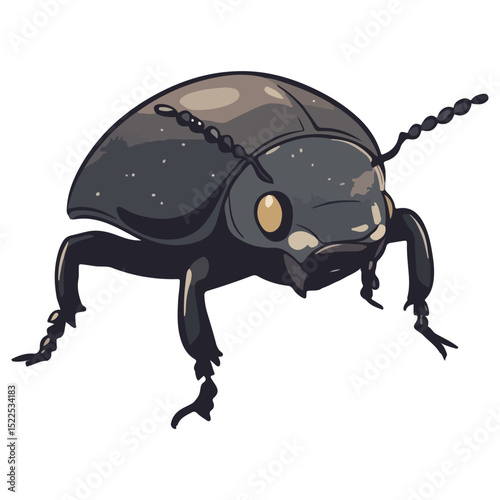 dung beetle, insect, animal, vector, transparent background, creature, isolated, nature, small, icon