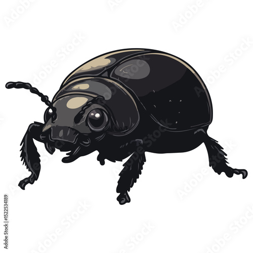 dung beetle, insect, animal, vector, transparent background, creature, isolated, nature, small, icon