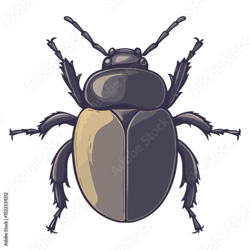 dung beetle, insect, animal, vector, transparent background, creature, isolated, nature, small, icon
