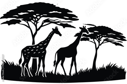 Giraffe Silhouette Illustration Two Giraffes Under Acacia Trees in African Landscape, Black and White