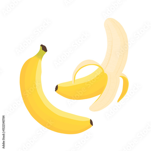 Banana fruit vector illustration with yellow peel and green stem isolated on white background tropical fresh food design