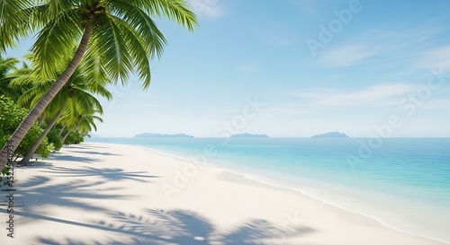 Tropical beach paradise with palm trees