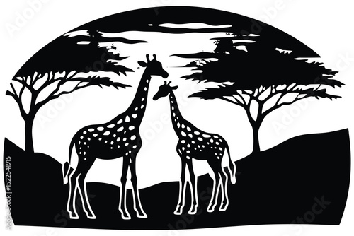 Silhouette Illustration Two Giraffes Standing Under Trees on the African Savanna at Dusk
