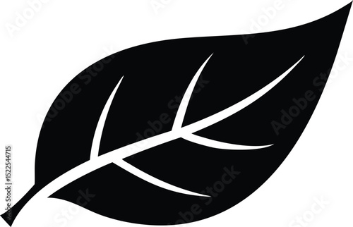 Simple Black and White Leaf Silhouette with Detailed Veins on a White Background