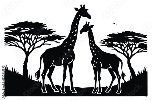 Two Giraffes in Black Silhouette with African Trees, Black and White Background