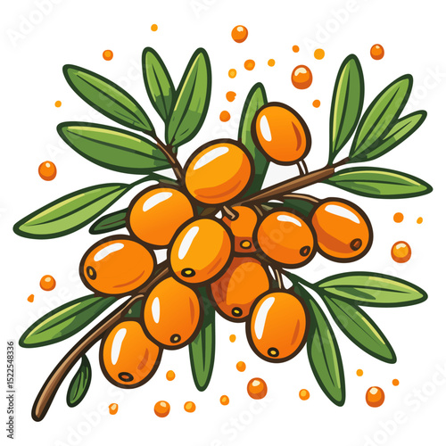 Sea buckthorn on a branch color vector illustration in line art style. Summer berry with leaves on an isolated background for design and packaging