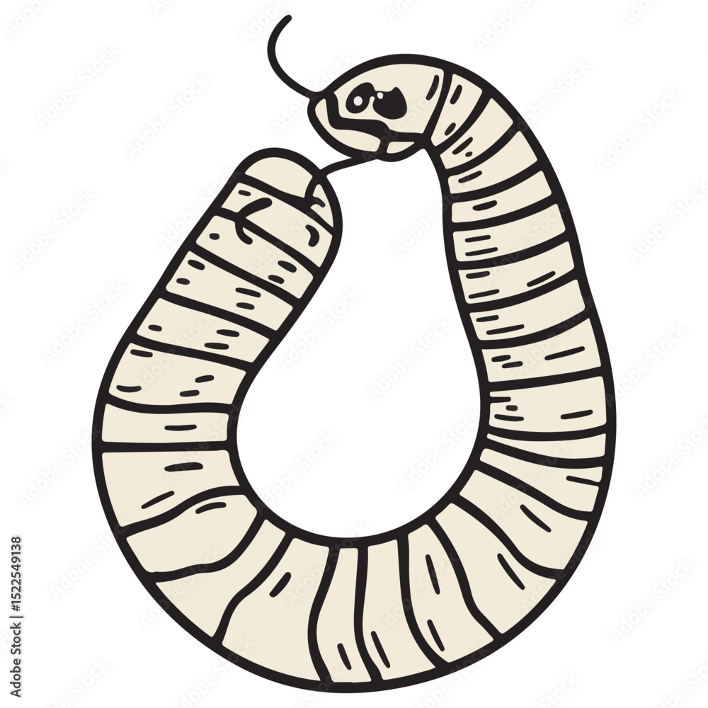 Fototapeta premium earthworm, insect, animal, vector, transparent background, organism, lumbricina, nature, pattern