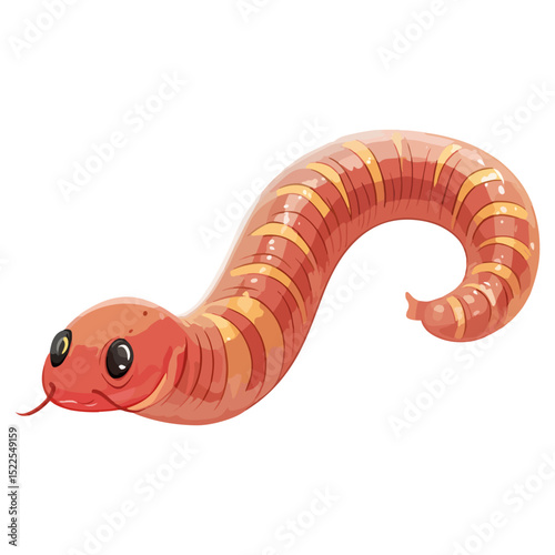 earthworm, insect, animal, vector, transparent background, organism, lumbricina, nature, pattern