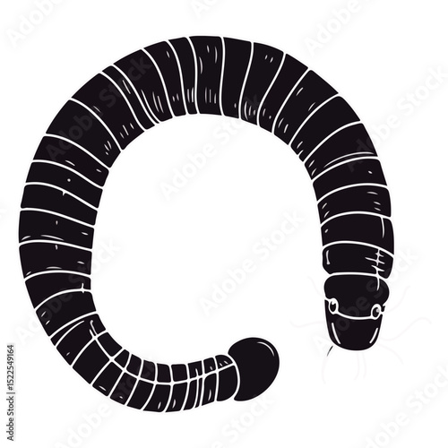 earthworm, insect, animal, vector, transparent background, organism, lumbricina, nature, pattern