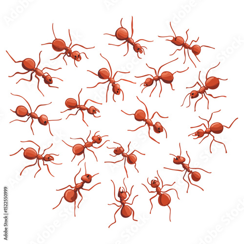 fire ant set, insect, animal, vector, transparent background, biology, solenopsis invicta, nature, icon, small