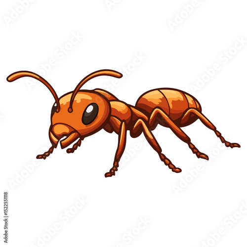 fire ant, insect, animal, vector, transparent background, biology, solenopsis invicta, nature, isolated, icon, small