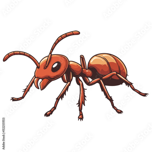 fire ant, insect, animal, vector, transparent background, biology, solenopsis invicta, nature, isolated, icon, small