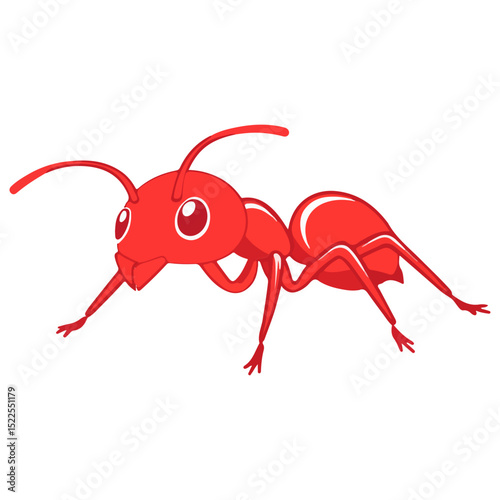 fire ant, insect, animal, vector, transparent background, biology, solenopsis invicta, nature, isolated, icon, small