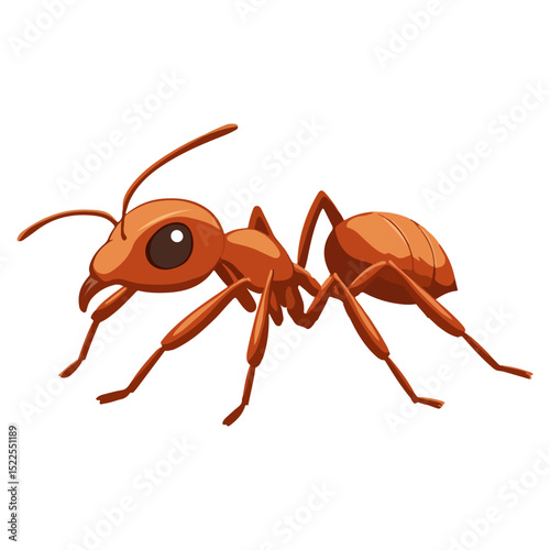 fire ant, insect, animal, vector, transparent background, biology, solenopsis invicta, nature, isolated, icon, small