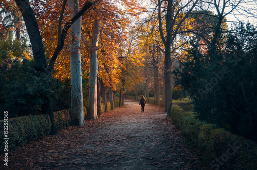 Woman strolling through autumn in Retiro Park, Madrid photo