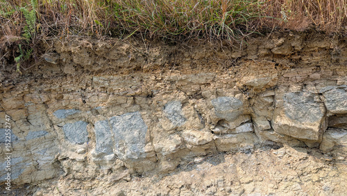Green grass sprouting over layered soil and rock, exposing underground geological composition and natural ground stratification