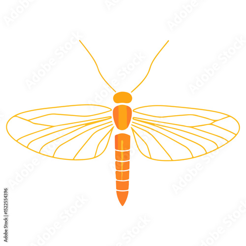firefly, insect, animal, vector, transparent background, creature, lampyridae, nature, isolated, wing, beauty, colorful, beautiful