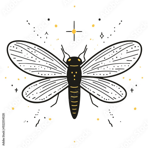 firefly, insect, animal, vector, transparent background, creature, lampyridae, nature, isolated, wing, beauty, colorful, beautiful