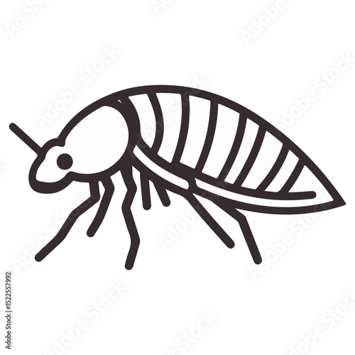 flea, insect, animal, vector, transparent background, creature, siphonaptera, isolated, nature, small