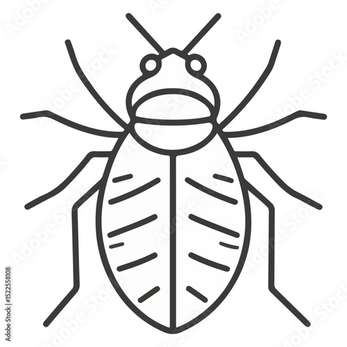 flea, insect, animal, vector, transparent background, creature, siphonaptera, isolated, nature, small