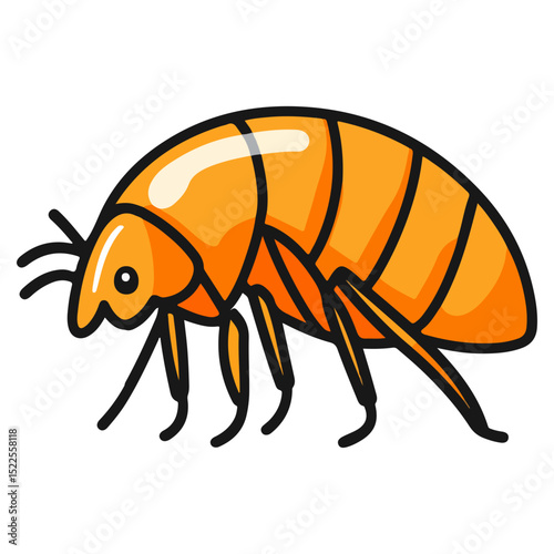 flea, insect, animal, vector, transparent background, creature, siphonaptera, isolated, nature, small