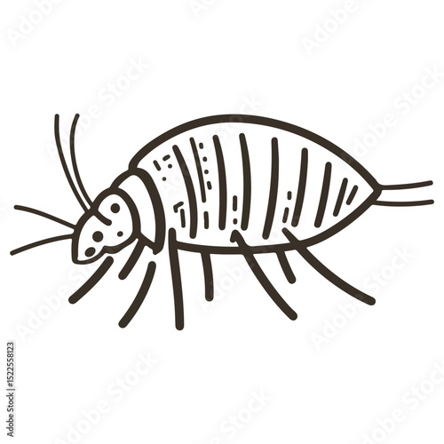 flea, insect, animal, vector, transparent background, creature, siphonaptera, isolated, nature, small